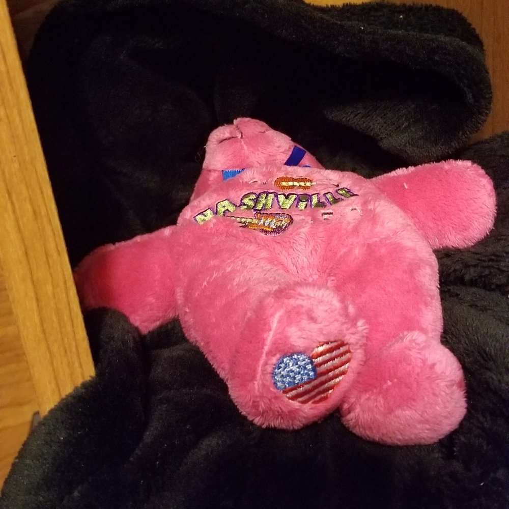 COPY - Nashville Teddy Bear - Picture 4 of 6
